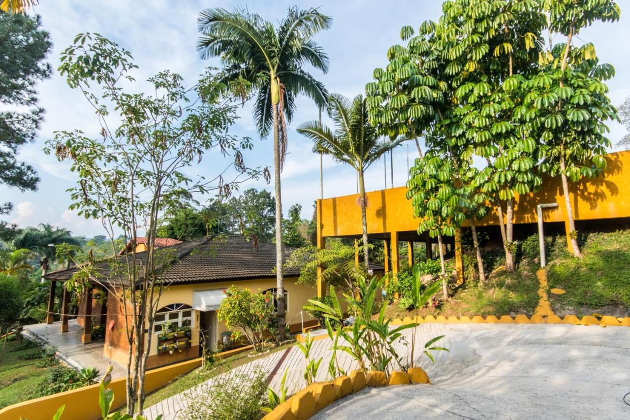 Villa Bem Querer - Suite Mairiporã Екстериор снимка